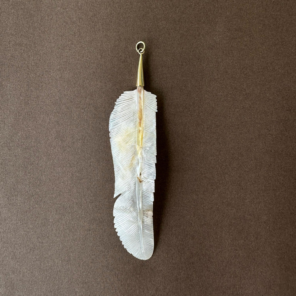COLGANTE PLUMA IRISADA